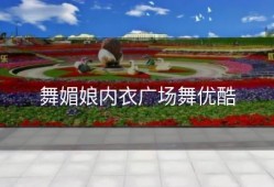 舞媚娘内衣广场舞优酷