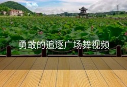 勇敢的追逐广场舞视频