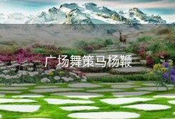 广场舞策马杨鞭