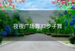 夜夜广场舞32步子舞