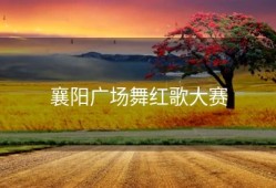 襄阳广场舞红歌大赛