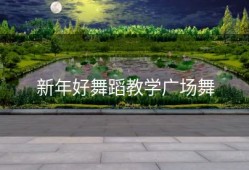 新年好舞蹈教学广场舞