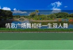 情歌广场舞相伴一生双人舞