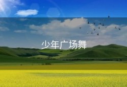 少年广场舞