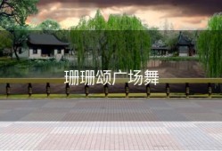 珊珊颂广场舞