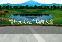 福州光明港广场舞大全