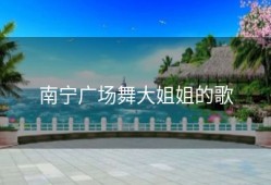 南宁广场舞大姐姐的歌