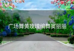 广场舞黄玫瑰编舞窦丽丽
