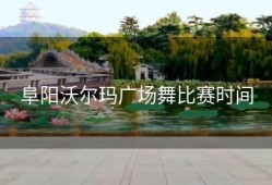 阜阳沃尔玛广场舞比赛时间