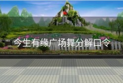 今生有缘广场舞分解口令