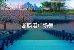 断肠泪广场舞