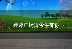 婷婷广场舞今生有你