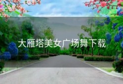 大雁塔美女广场舞下载