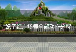 妃子红广场舞全部动作分解