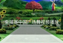 柬埔寨中国广场舞视频播放