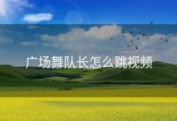 广场舞队长怎么跳视频