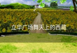 立华广场舞天上的西藏