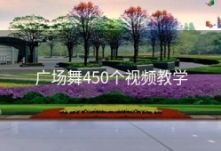 广场舞450个视频教学