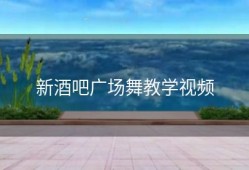 新酒吧广场舞教学视频