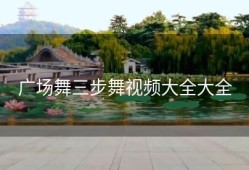 广场舞三步舞视频大全大全