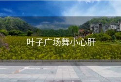 叶子广场舞小心肝