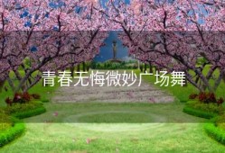 青春无悔微妙广场舞