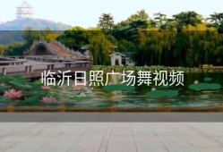 临沂日照广场舞视频