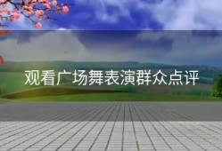观看广场舞表演群众点评