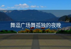 舞逗广场舞孤独的夜晚
