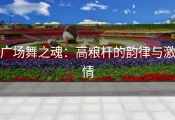 广场舞之魂：高粮杆的韵律与激情