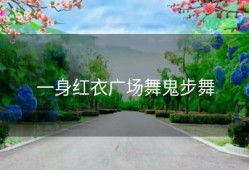 一身红衣广场舞鬼步舞