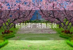杨丽萍广场舞服装.
