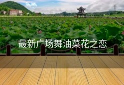 最新广场舞油菜花之恋