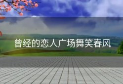 曾经的恋人广场舞笑春风