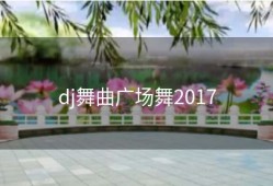 dj舞曲广场舞2017
