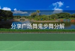 分享广场舞鬼步舞分解