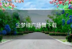 尘梦缘广场舞下载