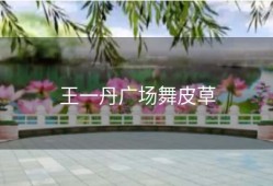 王一丹广场舞皮草