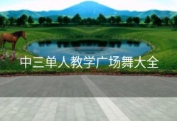 中三单人教学广场舞大全