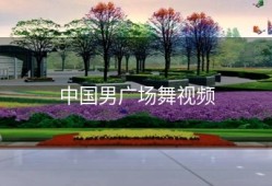 中国男广场舞视频