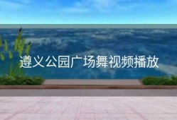 遵义公园广场舞视频播放