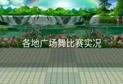 各地广场舞比赛实况