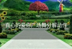 真心的爱你广场舞分解动作