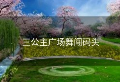 三公主广场舞闯码头