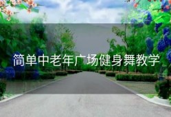 简单中老年广场健身舞教学