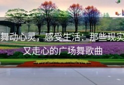 舞动心灵，感受生活：那些现实又走心的广场舞歌曲