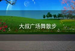 大叔广场舞散步