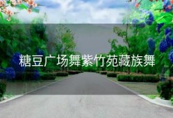 糖豆广场舞紫竹苑藏族舞