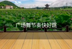 广场舞节奏快好跳