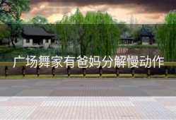 广场舞家有爸妈分解慢动作